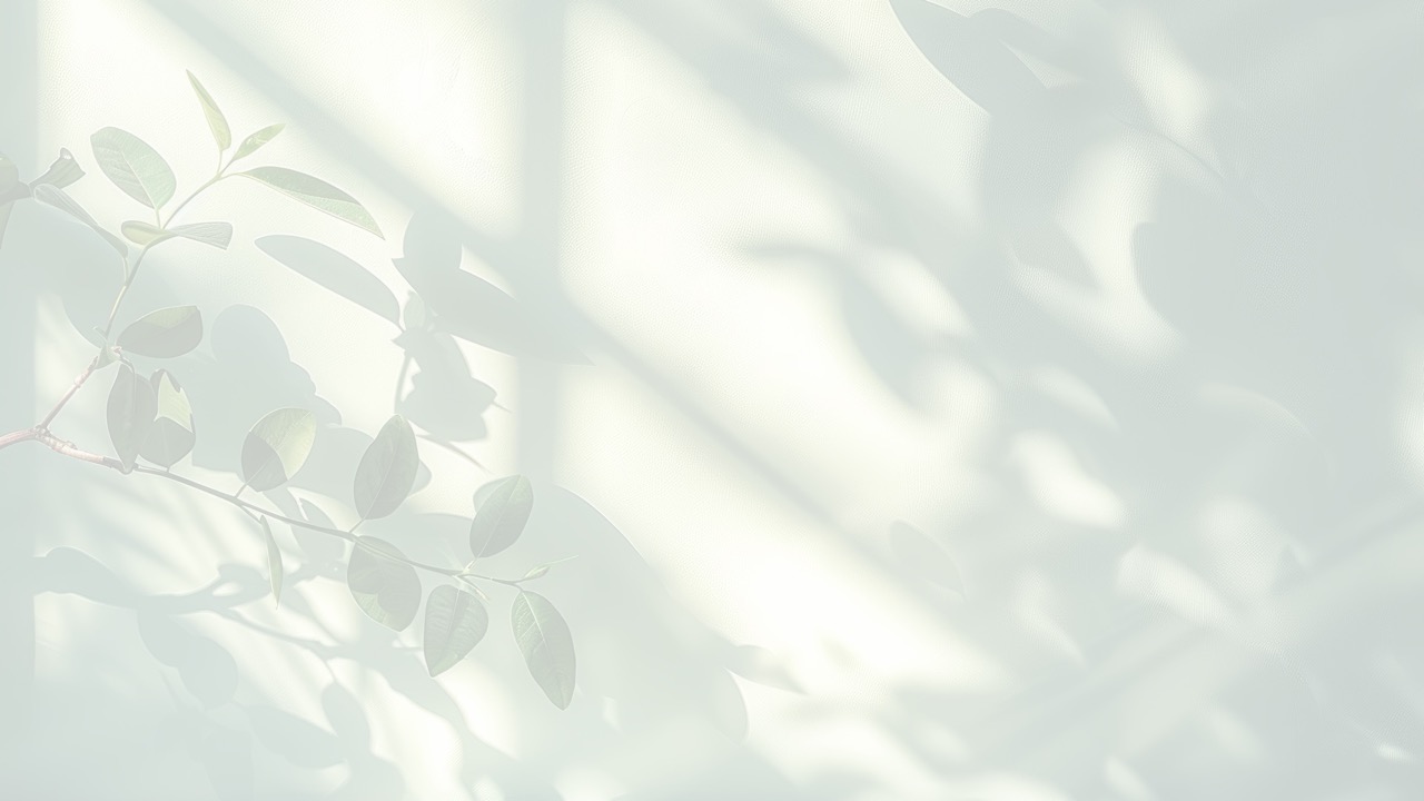 ARTISANCAP services overview visual